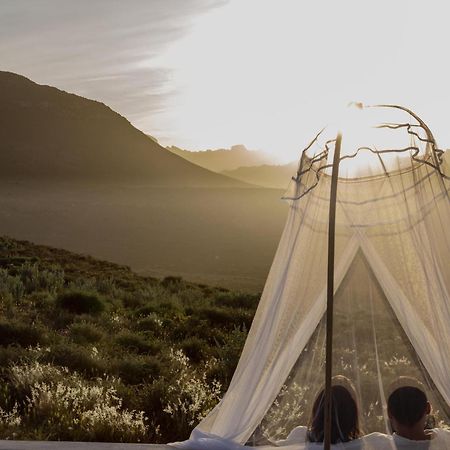 Villa Simbavati Cederberg Ridge Clanwilliam Exterior foto