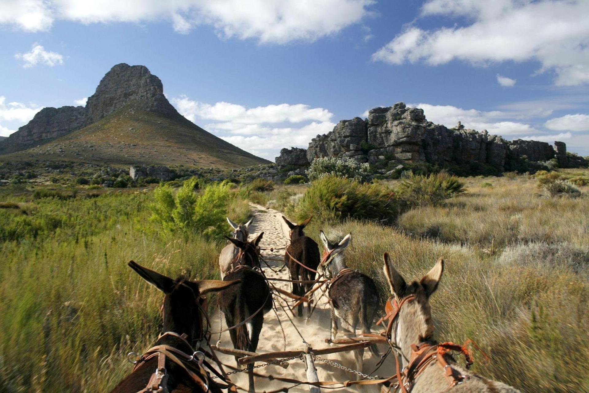 Villa Simbavati Cederberg Ridge Clanwilliam Exterior foto